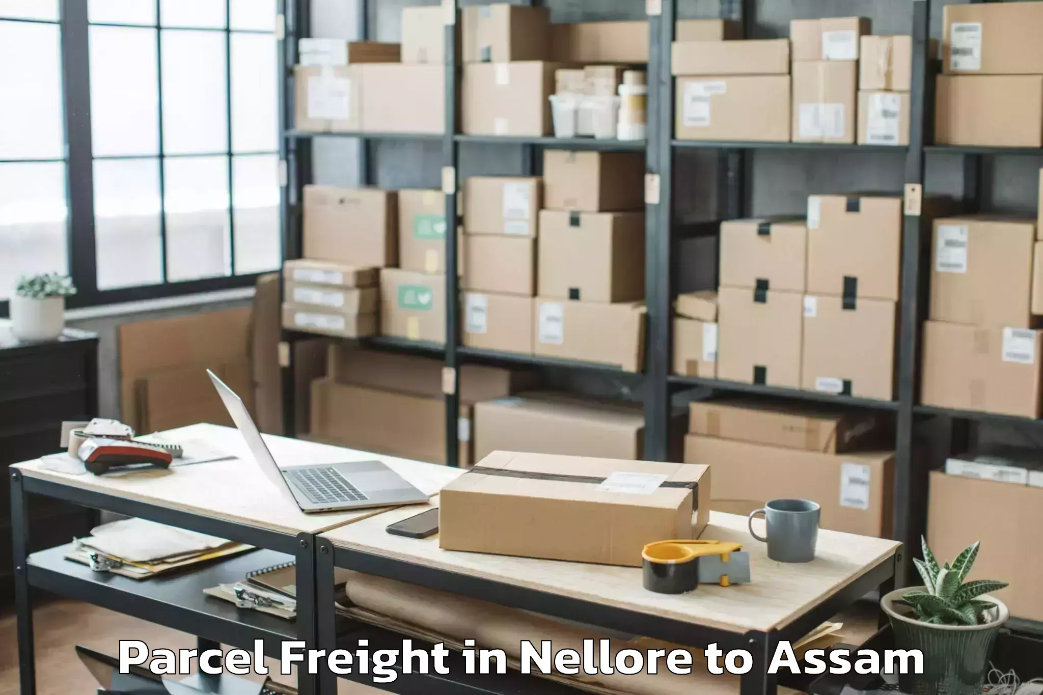 Book Nellore to Guwahati Airport Gau Parcel Freight Online